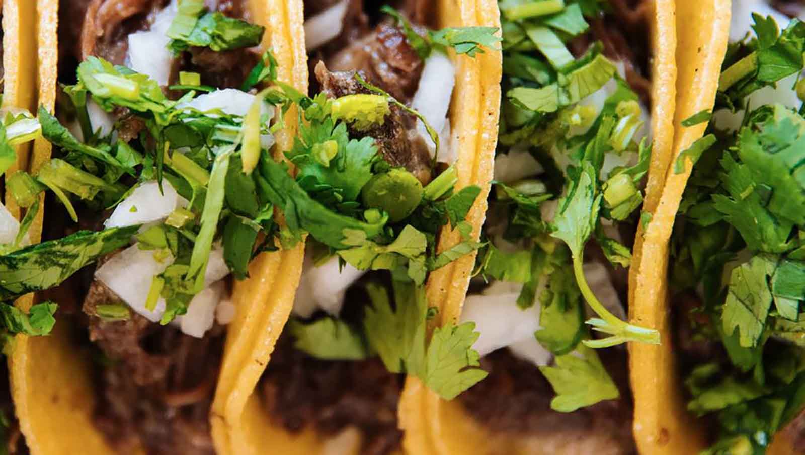 Taco and Tequila Throwdown Tickets